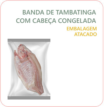Corte: Banda de Tambatinga C/ Cabeça Congelada